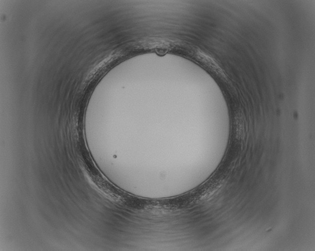 X0000065230538200603101557
