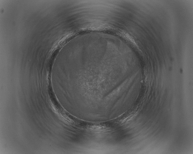 X0000065230542200603101557
