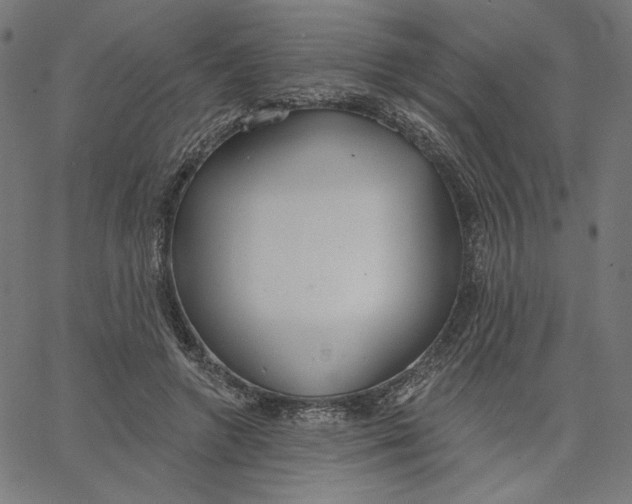 X0000065230546200603101557