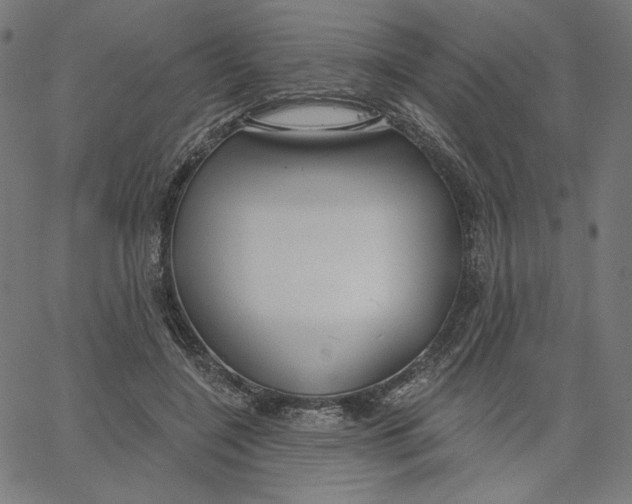 X0000065230548200603101557
