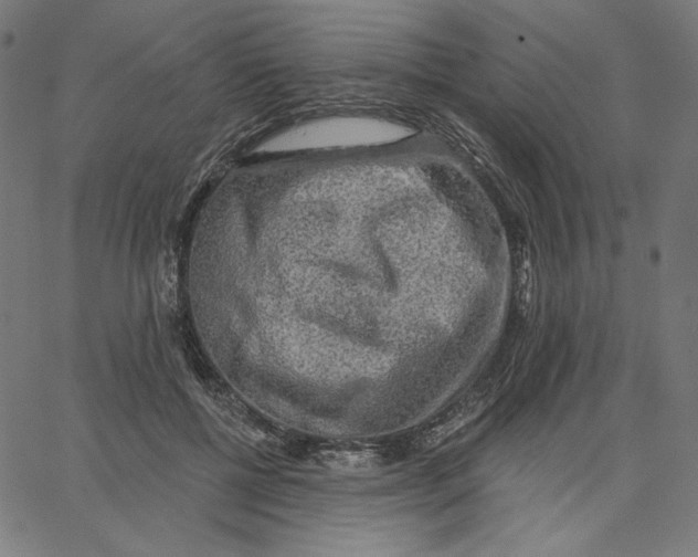 X0000065230552200603101557