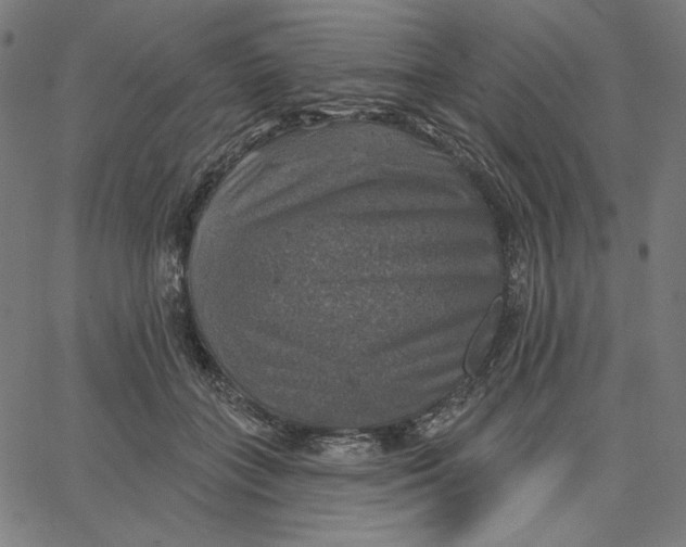 X0000065230555200603101557