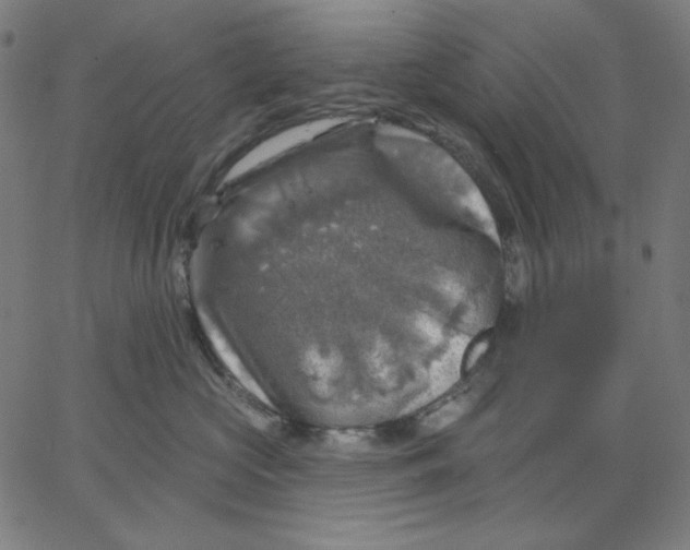 X0000065230573200603101557