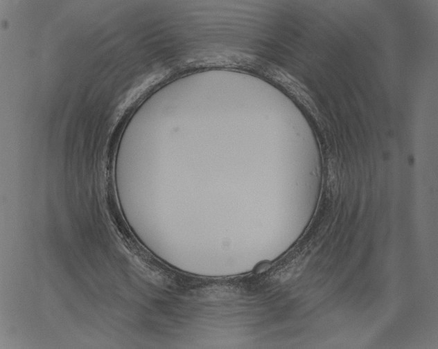 X0000065230578200603101556
