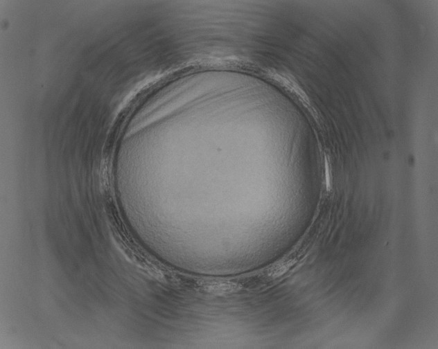 X0000065230579200603101556