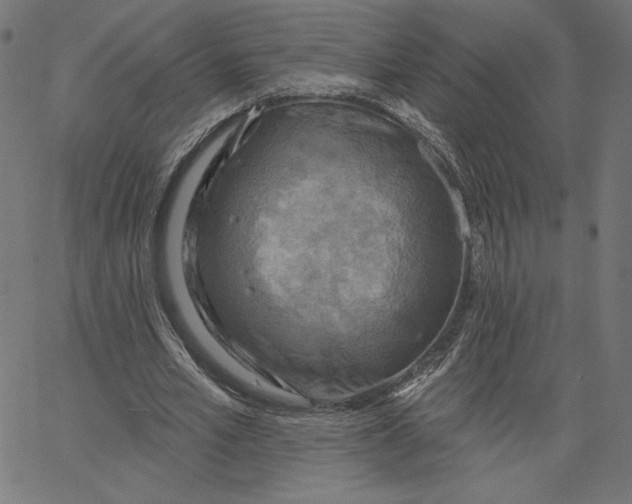 X0000065230581200603101556