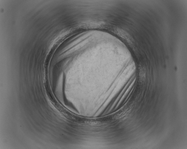 X0000065230582200603101556