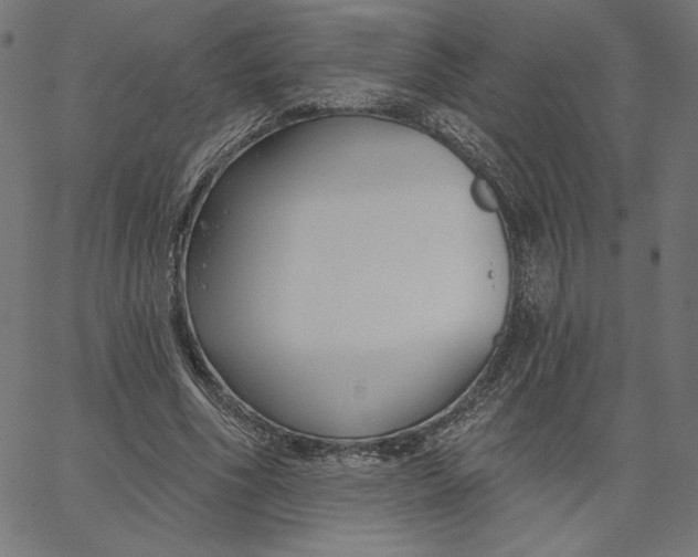 X0000065230586200603101556