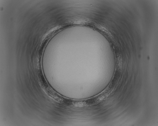 X0000065230587200603101556