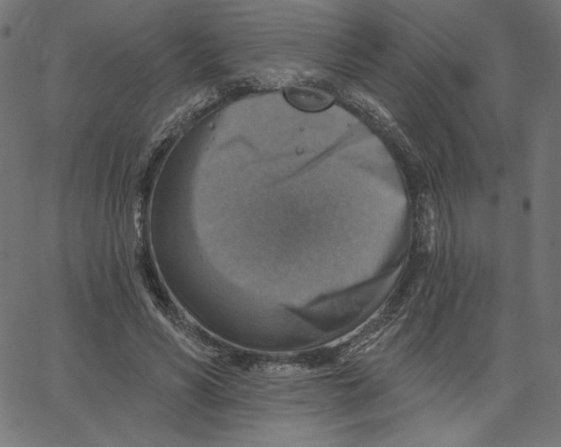 X0000065230590200603101556