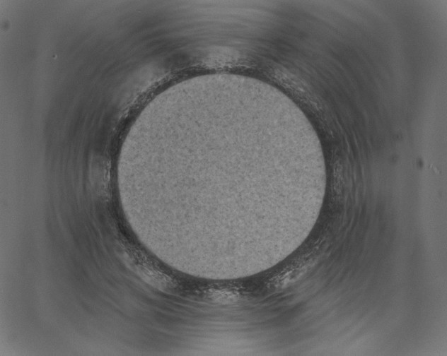 X0000065230592200603101556