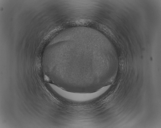 X0000065230593200603101556