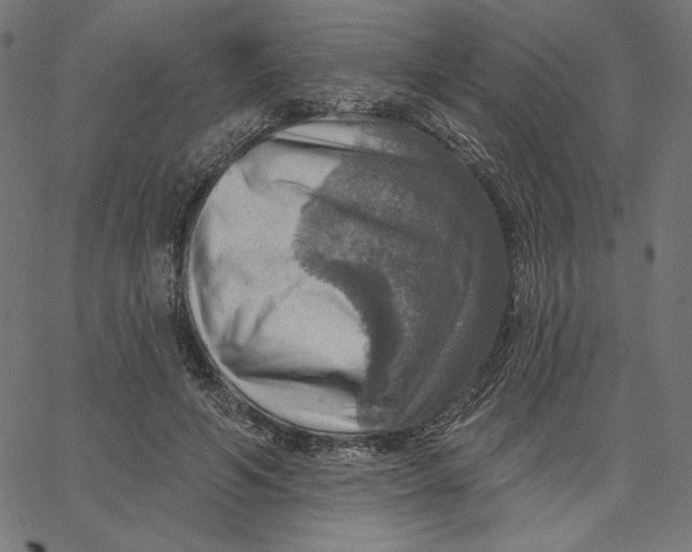 X0000065230594200603101556