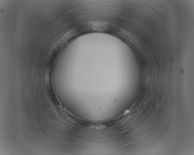 X0000065230595200603101556