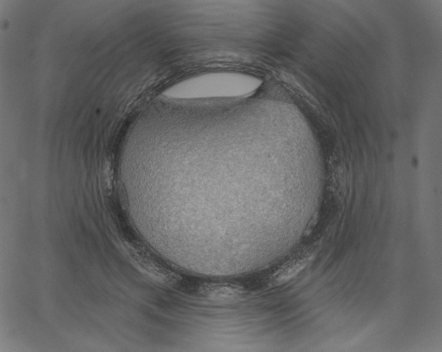 X0000065230597200603101556