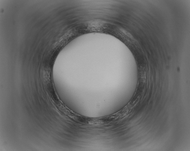 X0000065230603200603101556