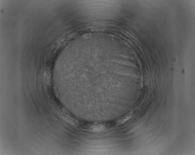 X0000065230604200603101556