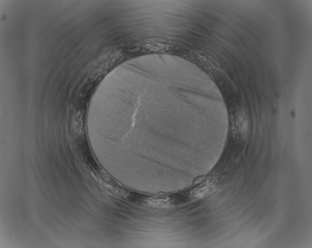 X0000065230606200603101556