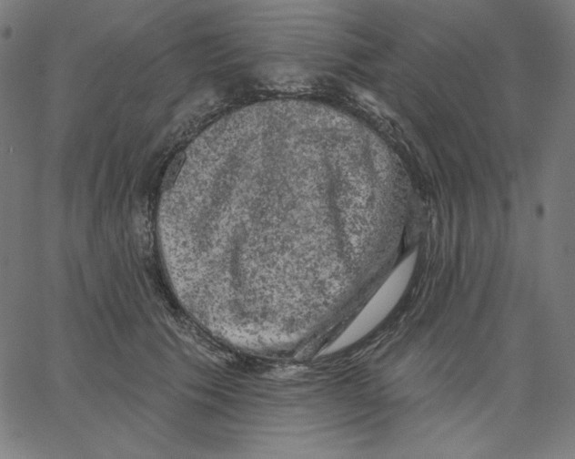 X0000065230609200603101556