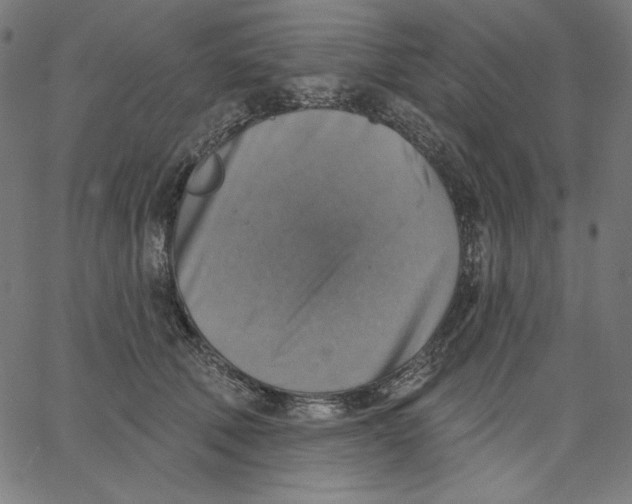 X0000065230610200603101556