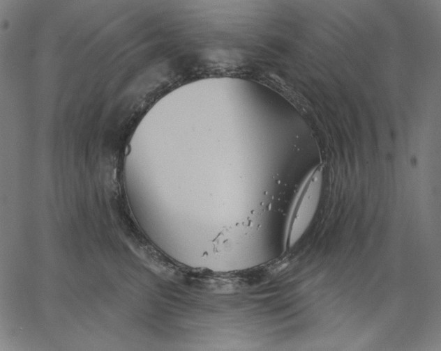 X0000065230615200603101556