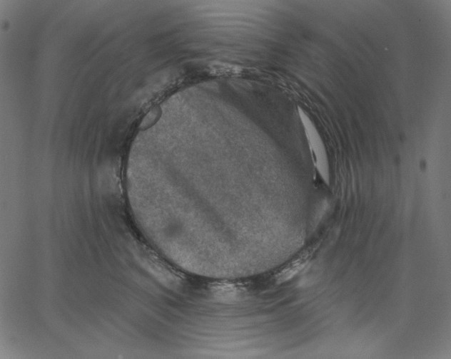 X0000065230616200603101556