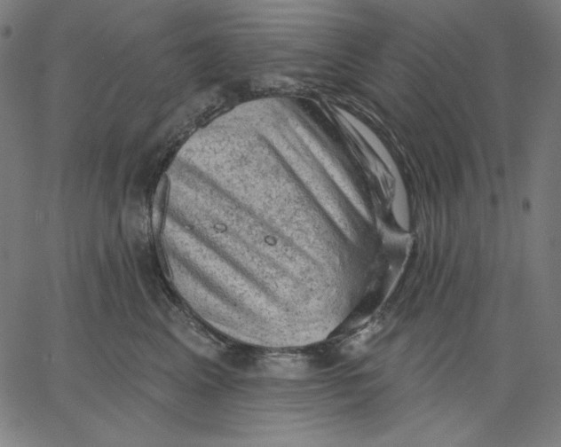 X0000065230617200603101556