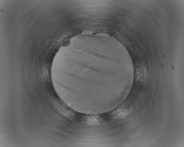 X0000065230618200603101556