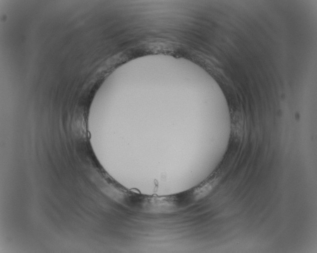 X0000065230622200603101556