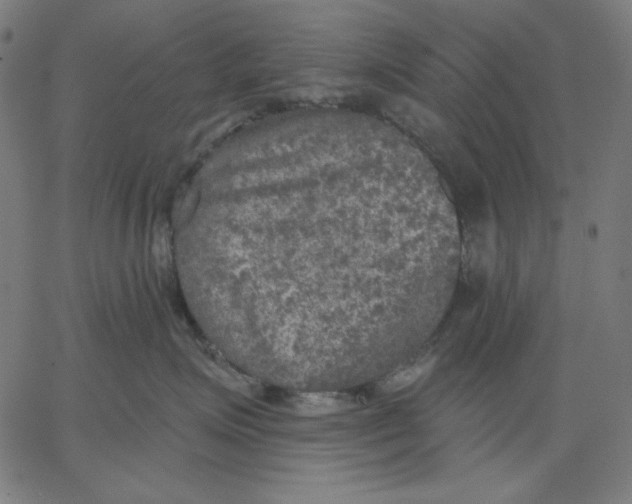X0000065230623200603101556