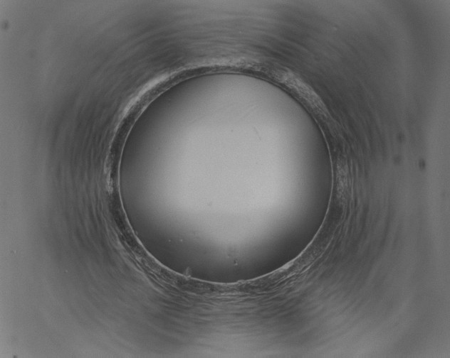 X0000065230628200603101555