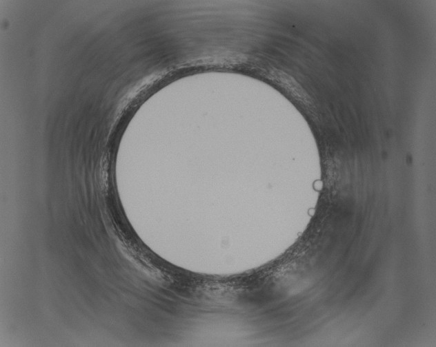 X0000065230632200603101555