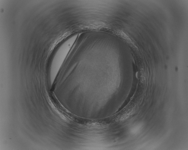 X0000065230634200603101555