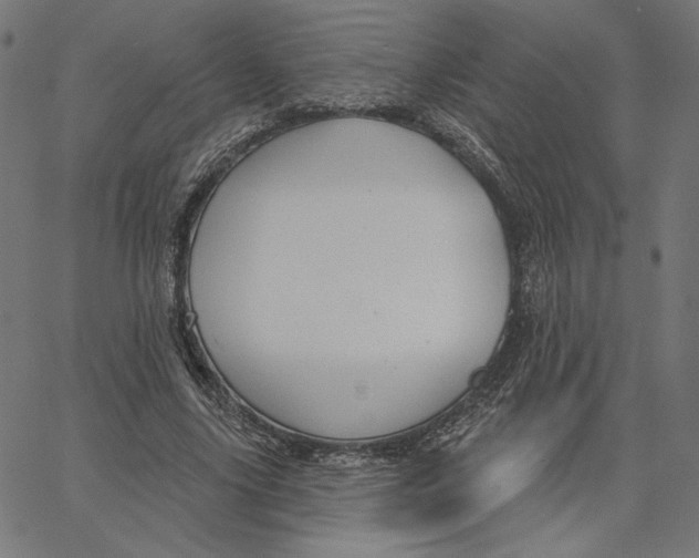 X0000065230635200603101555