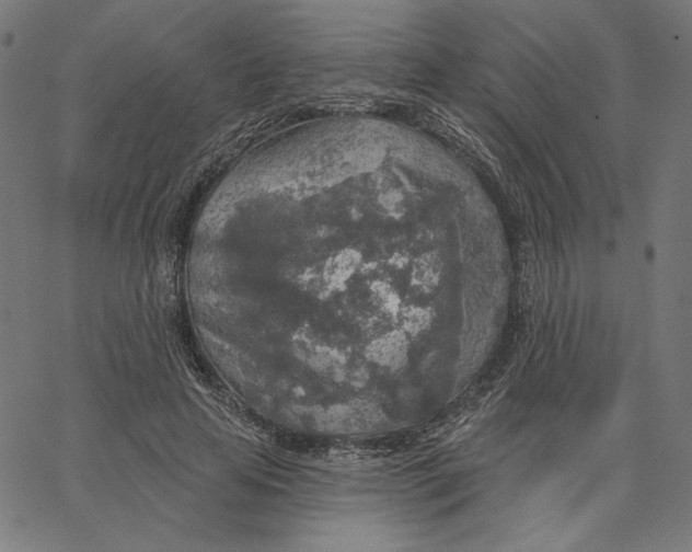 X0000065230641200603101555