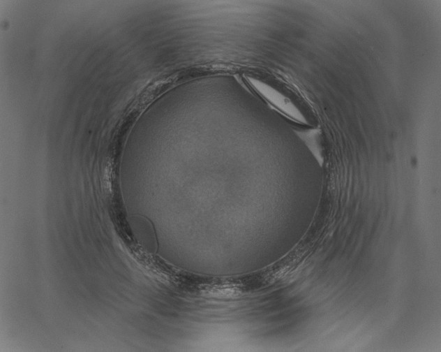 X0000065230643200603101555