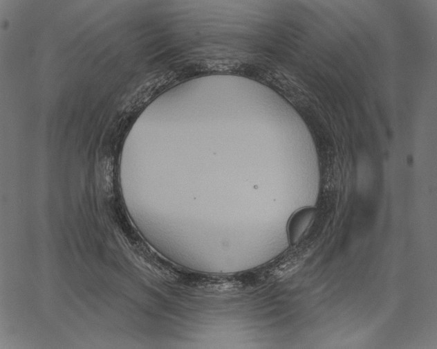 X0000065230646200603101555