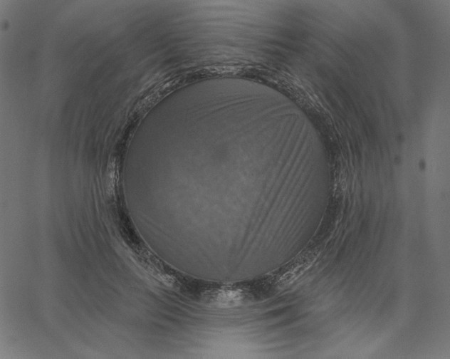 X0000065230647200603101555