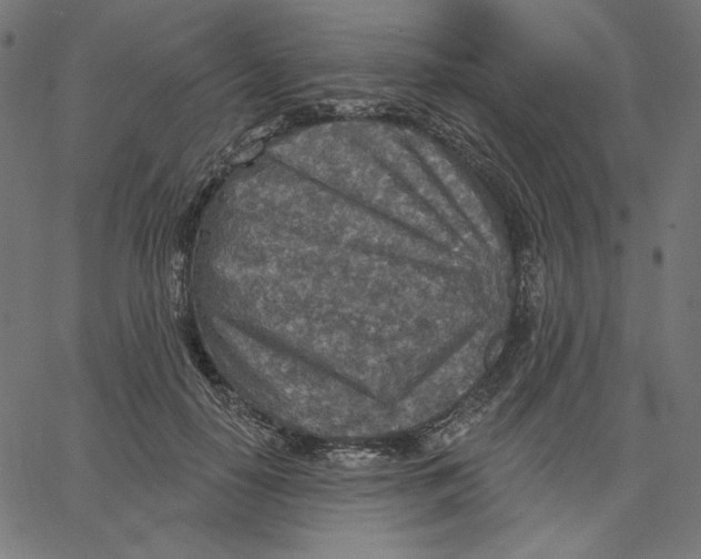 X0000065230650200603101555