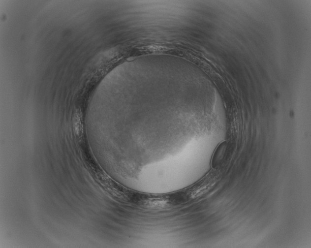 X0000065230651200603101555