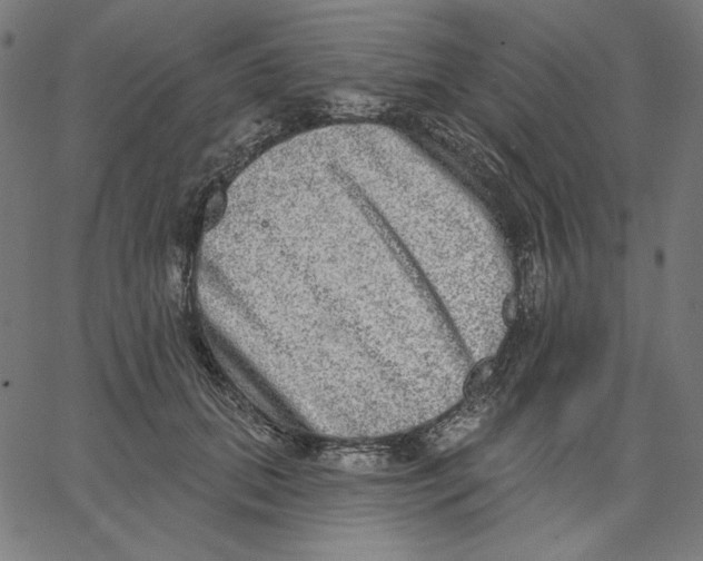 X0000065230655200603101555