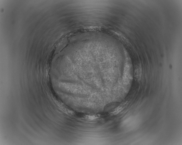 X0000065230662200603101556