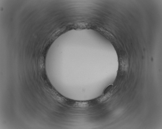 X0000065230665200603101556