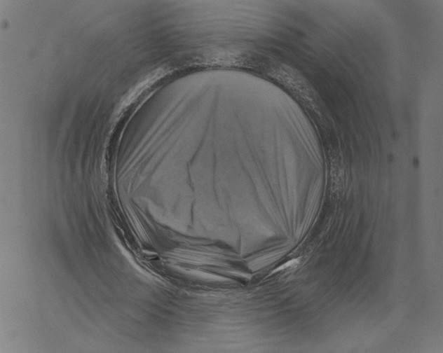 X0000065230674200603101555