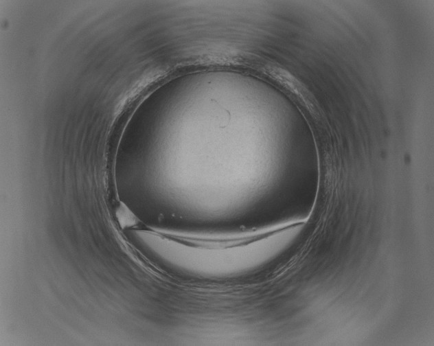 X0000065230677200603101555