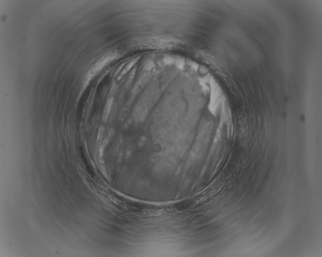 X0000065230679200603101555