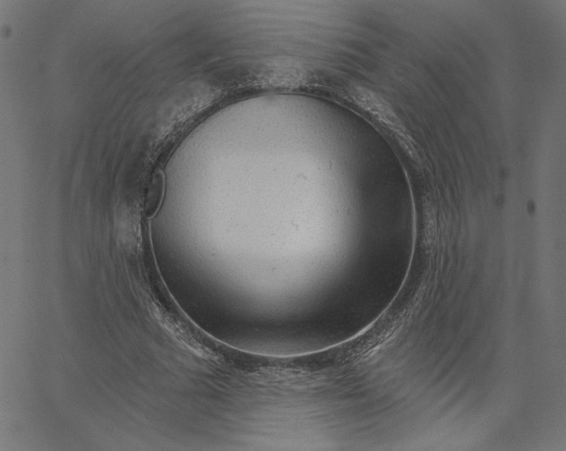 X0000065230681200603101555