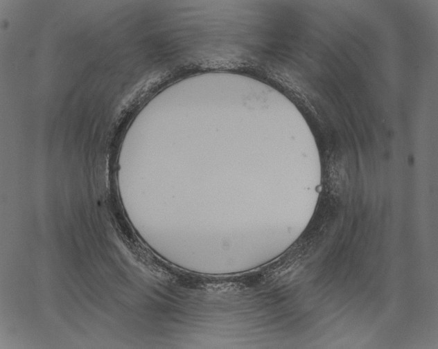 X0000065230686200603101555
