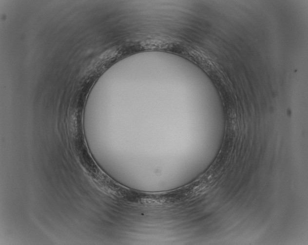 X0000065230690200603101555