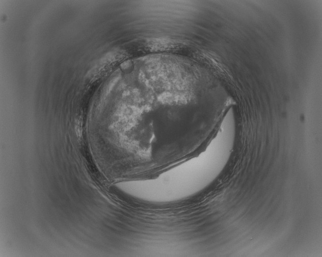 X0000065230691200603101555